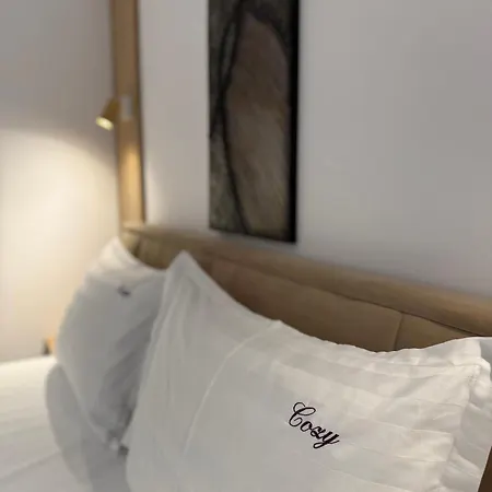 Apartment Cozy Luxury Brand New With In 3*