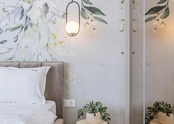 아파트 Luxury Brand New With In 브라쇼브